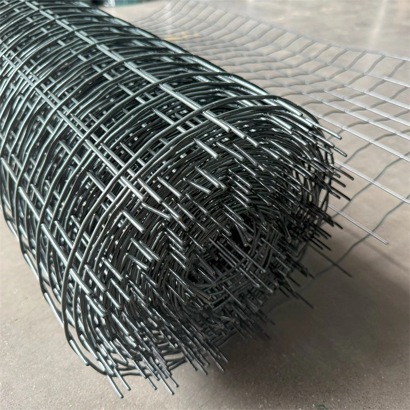 Plastic Coated Wire Mesh manufacturers Plastic Coated Wire Mesh manufacturers